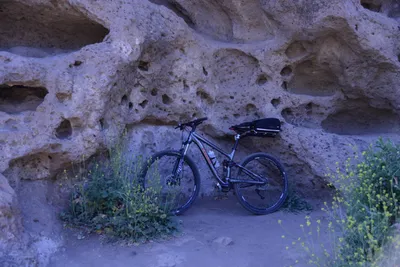 DSC_2018 (Large).JPG